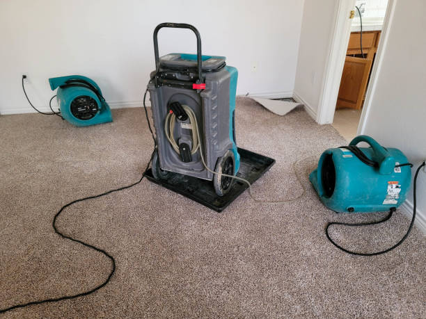 Reliable Fallston, MD Water damage restoration Solutions