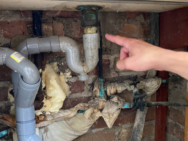 Best Professional water damage repair  in Fallston, MD