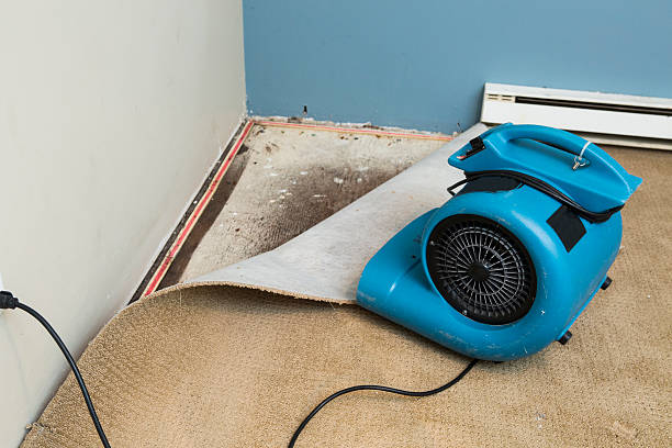 24/7 water damage repair in Fallston, MD